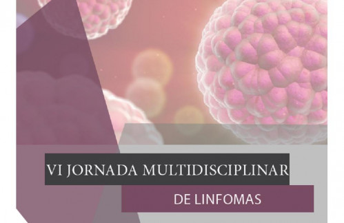 VI Multidisciplinary Lymphoma Workshop